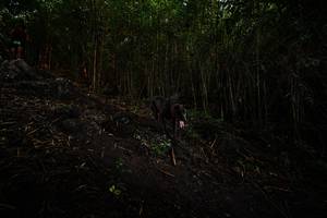 BIB: 
                            <button type="button" onclick="openModal(25095692)" class="btn btn-primary btn-sm float-right btn-popup" data-toggle="modal" data-target=".modal-high-quality">
                        <i class="fas fa-shopping-cart"></i> Add to Cart
                    </button>
                                            <button type="button" onclick="isThisMe(25095692, true)" class="btn btn-success btn-sm float-right btn-popup btn-isme hidden" data-toggle="tooltip" data-placement="bottom" title="นี่คือรูปของคุณใช่ไหม คลิกที่นี่เพื่อเอาเข้าอัลบั้ม">
                        <i class="fas fa-plus"></i> Add to album
                    </button>
                    <button type="button" onclick="isThisMe(25095692, false)" class="btn btn-warning btn-sm float-right btn-popup btn-isnotme hidden">
                        <i class="fas fa-ban"></i> Remove from album
                    </button>